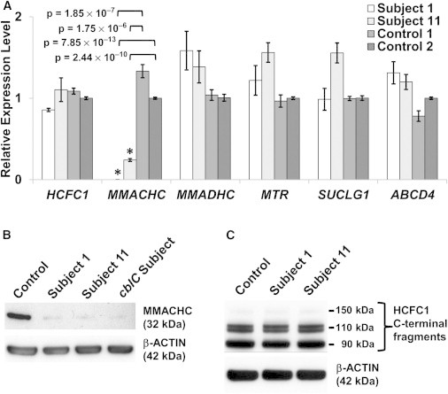 Figure 3