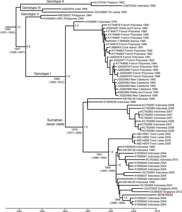 Fig 3