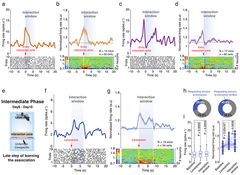 Extended Data Fig. 6