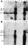 FIG. 2.