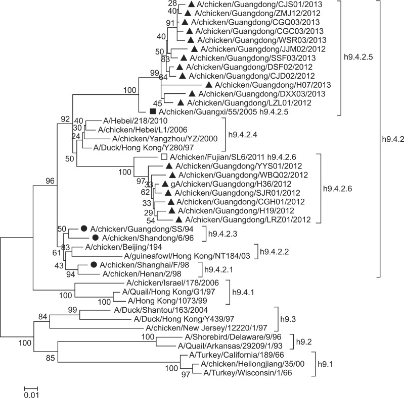 Fig. 1