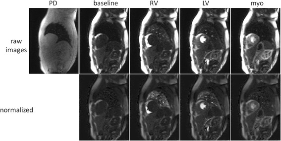 Fig. 11