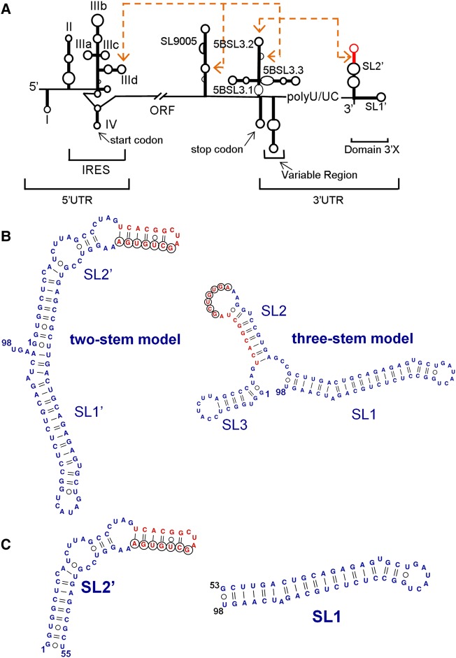 FIGURE 1.