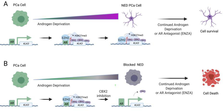 Figure 6: