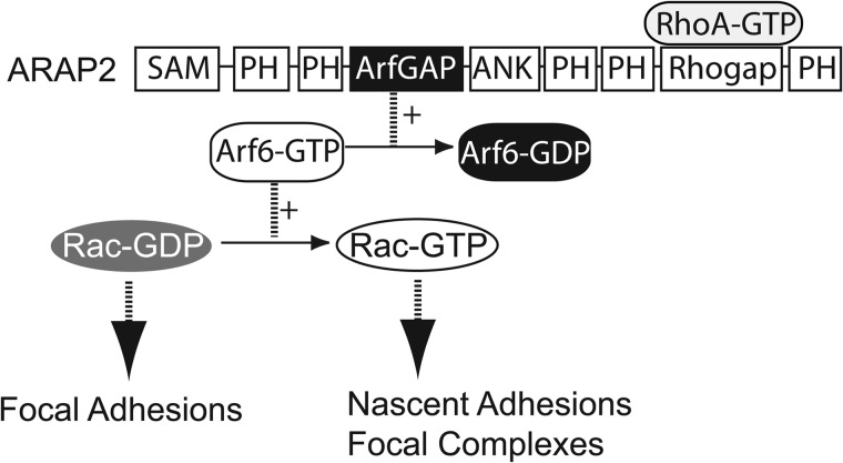 FIGURE 7.