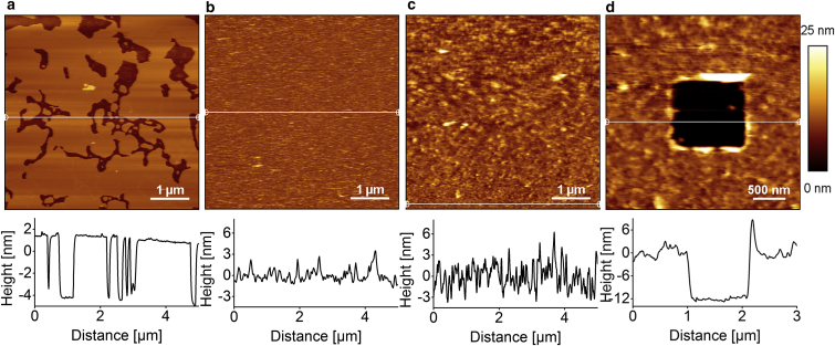 Figure 4