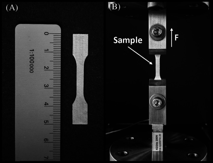 FIGURE 3