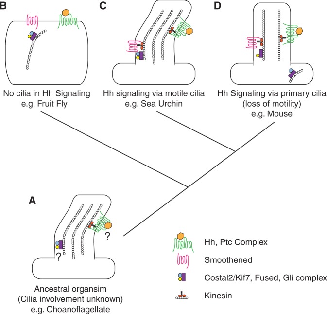 Fig. 3.