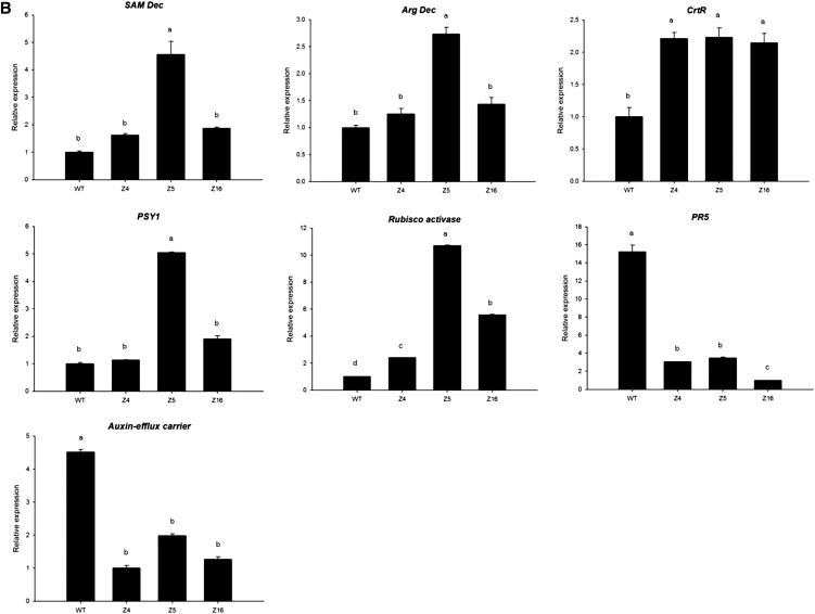 Figure 12.