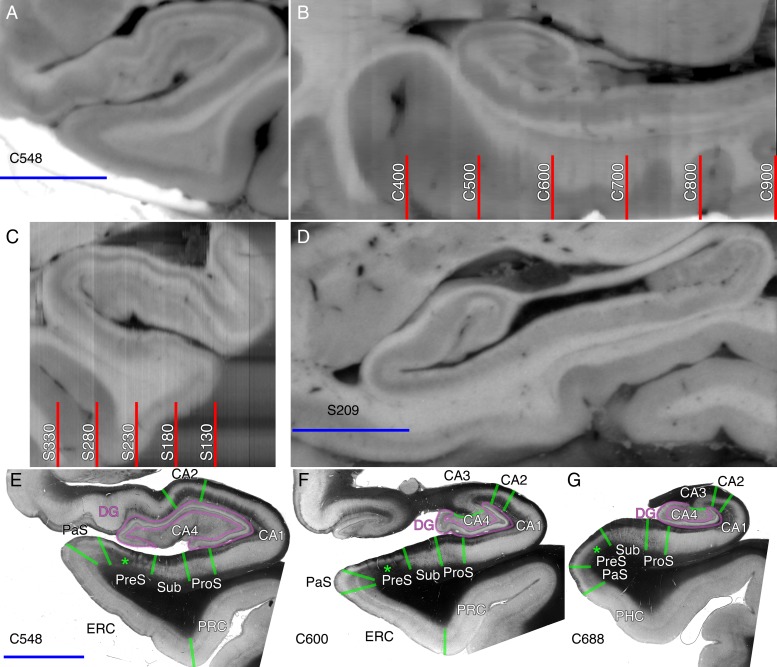 Figure 2.