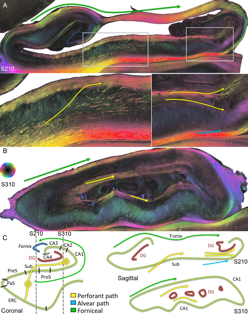 Figure 5.