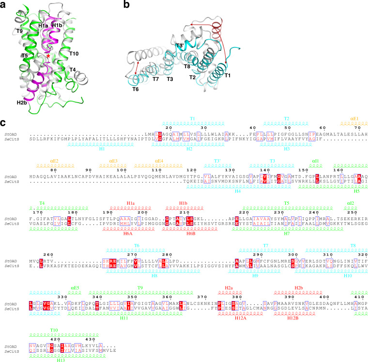 Figure 2—figure supplement 1.