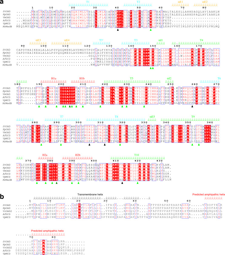 Figure 1—figure supplement 1.