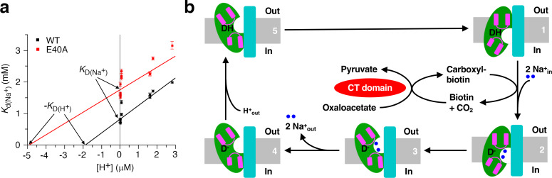 Figure 6.