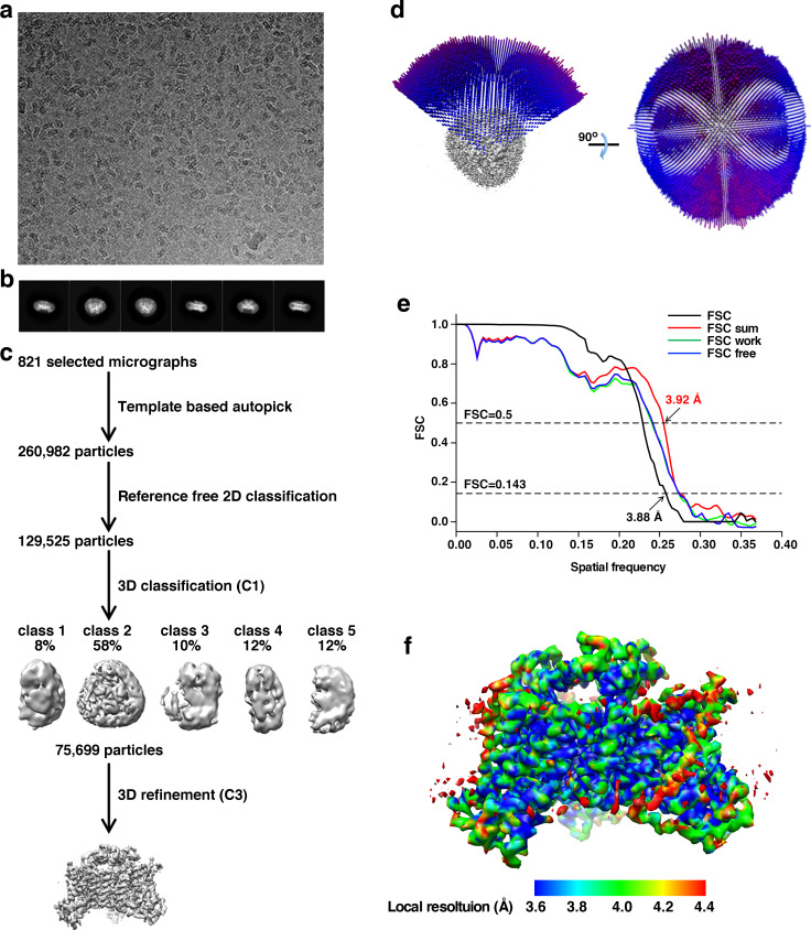 Figure 1—figure supplement 3.