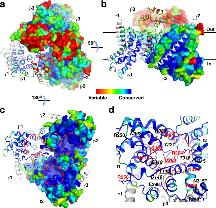 Figure 1—figure supplement 5.