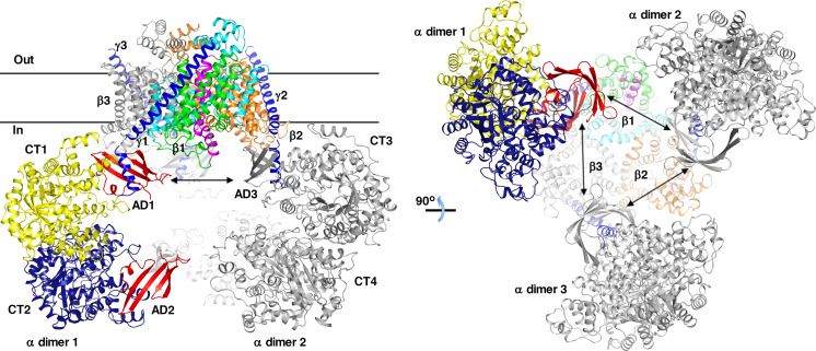 Figure 6—figure supplement 4.