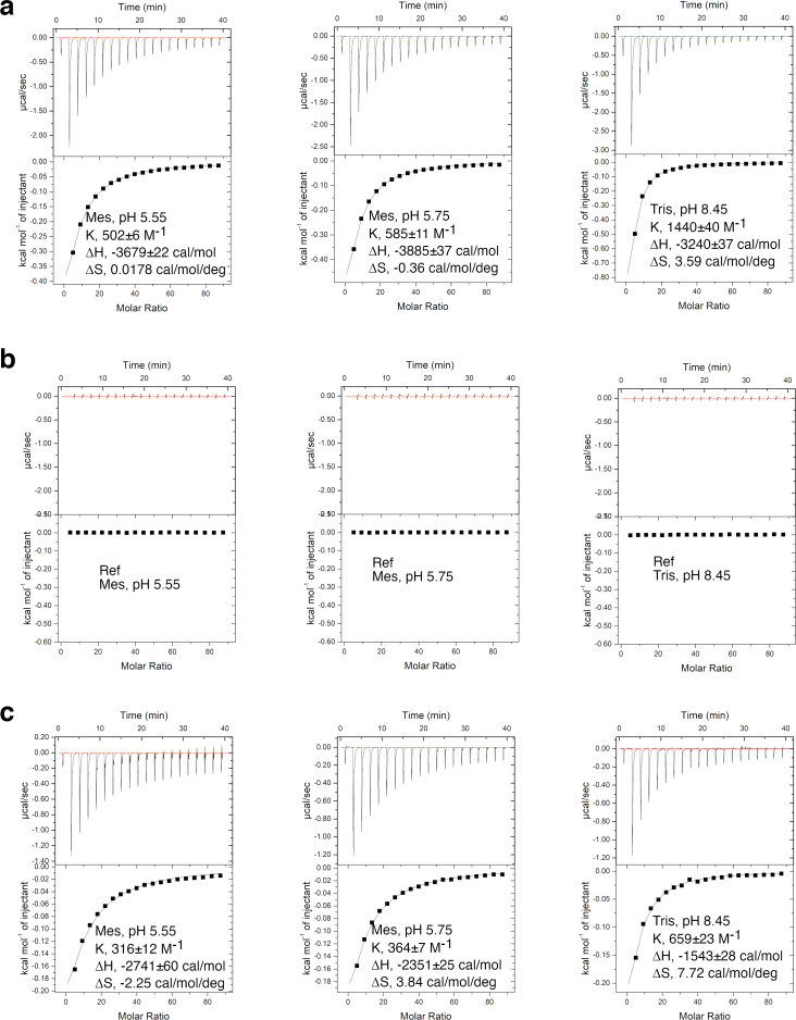 Figure 6—figure supplement 1.