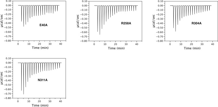 Figure 5—figure supplement 1.