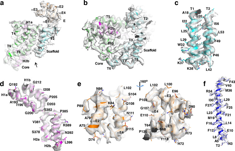 Figure 1—figure supplement 4.