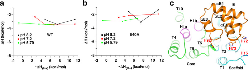 Figure 6—figure supplement 2.