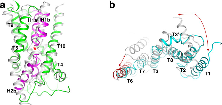 Figure 2—figure supplement 2.