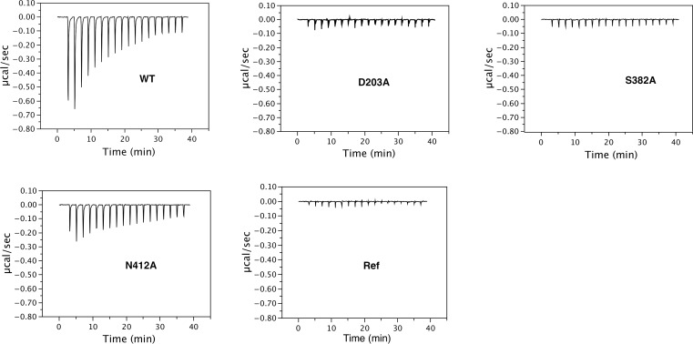 Figure 4—figure supplement 1.