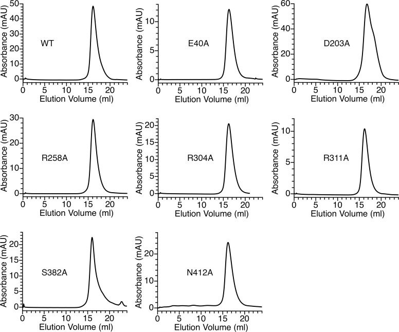 Figure 1—figure supplement 2.