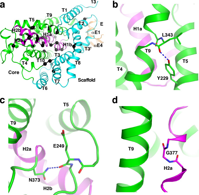 Figure 6—figure supplement 3.