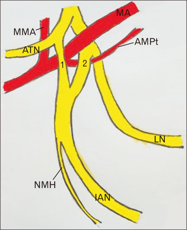 Fig. 2