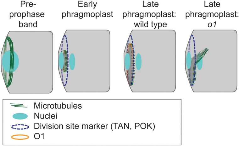 Figure 9.