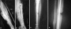 Fig. 1A–D