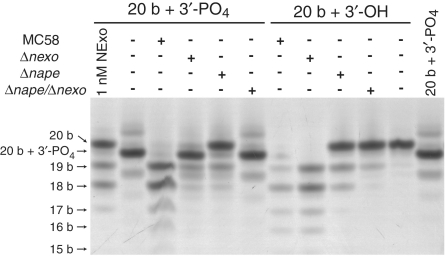 Figure 7.