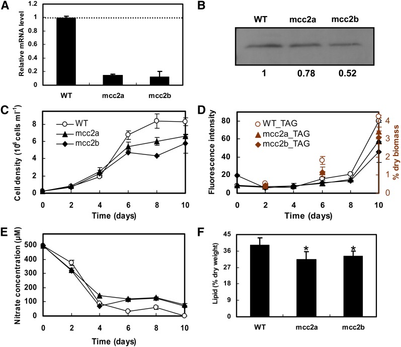 Figure 5.