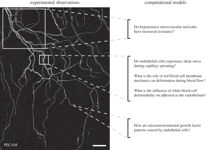 Figure 3.