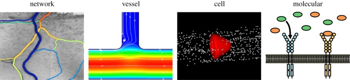 Figure 4.