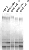 FIG. 8.