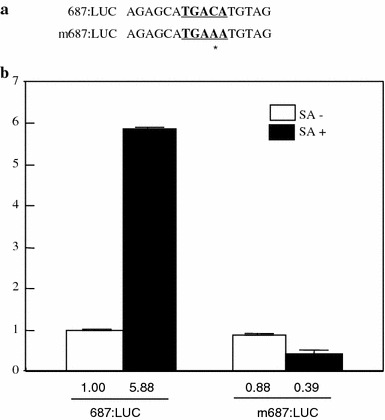 Fig. 6