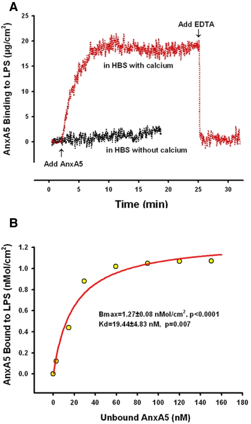 FIG 2 