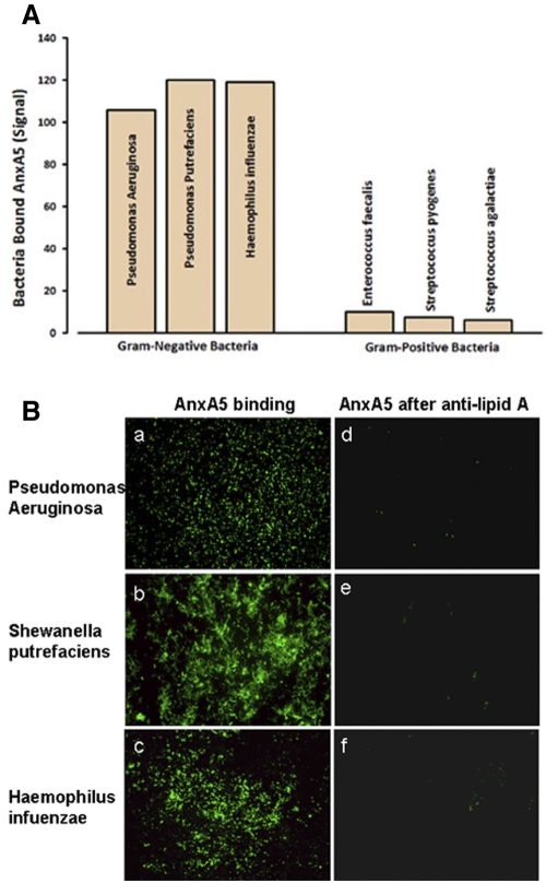 FIG 1 