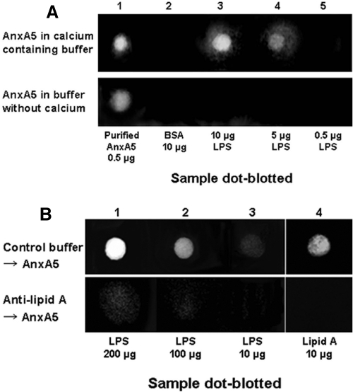 FIG 3 