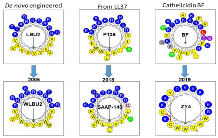 Figure 4