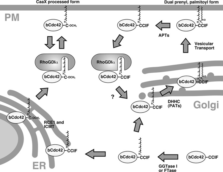 Fig 8