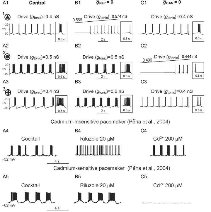 FIGURE 4