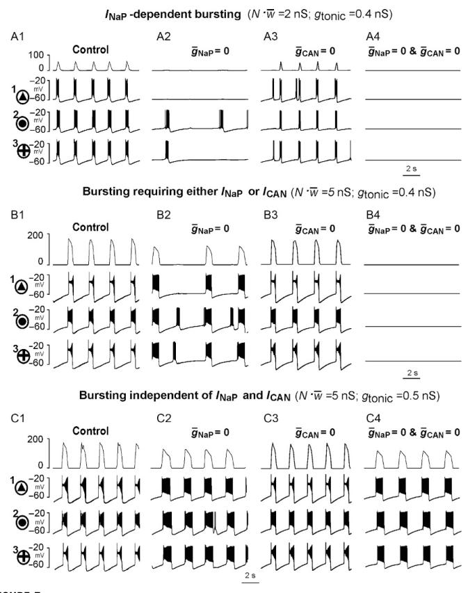 FIGURE 5