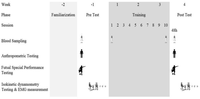 FIGURE 1