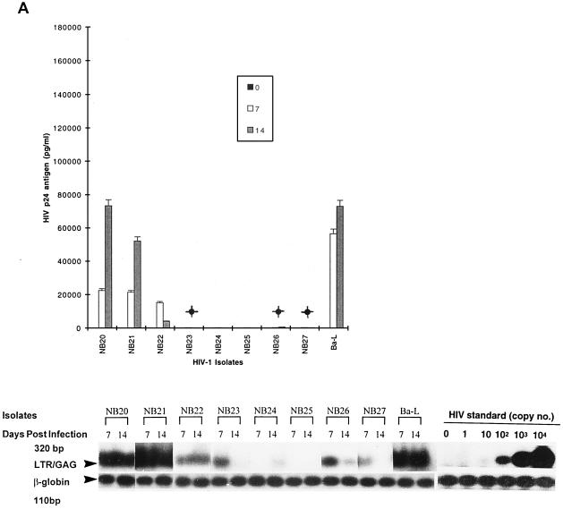 FIG. 1