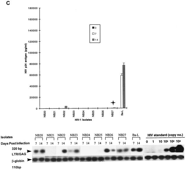 FIG. 1