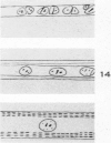 253