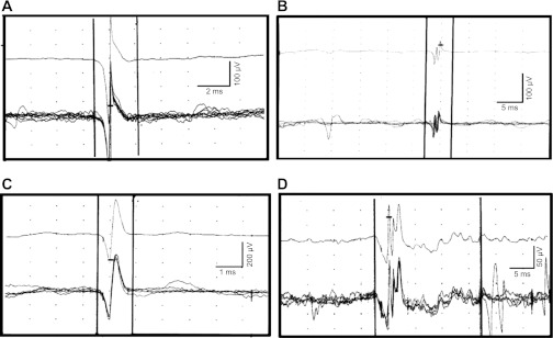 Fig. 2.